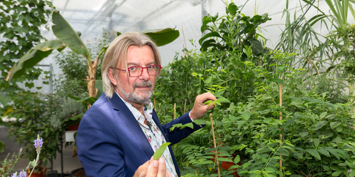 ‘Na afloop een gezellige netwerkborrel’